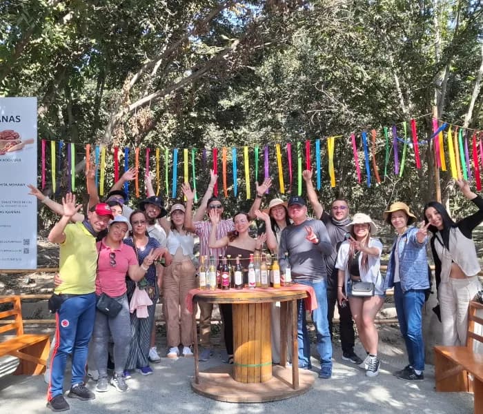 Cata vinos grupal en Ica