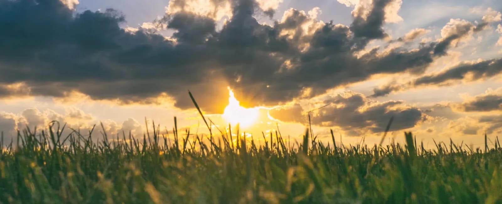 Atardecer entre nubes sobre un paisaje de vegetación