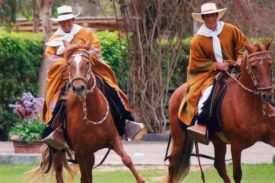 Pachacamac y Caballos de Paso 