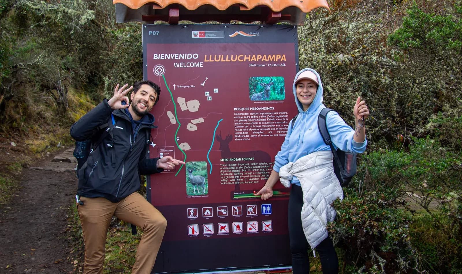 Caminantes en el Salkantay nevado