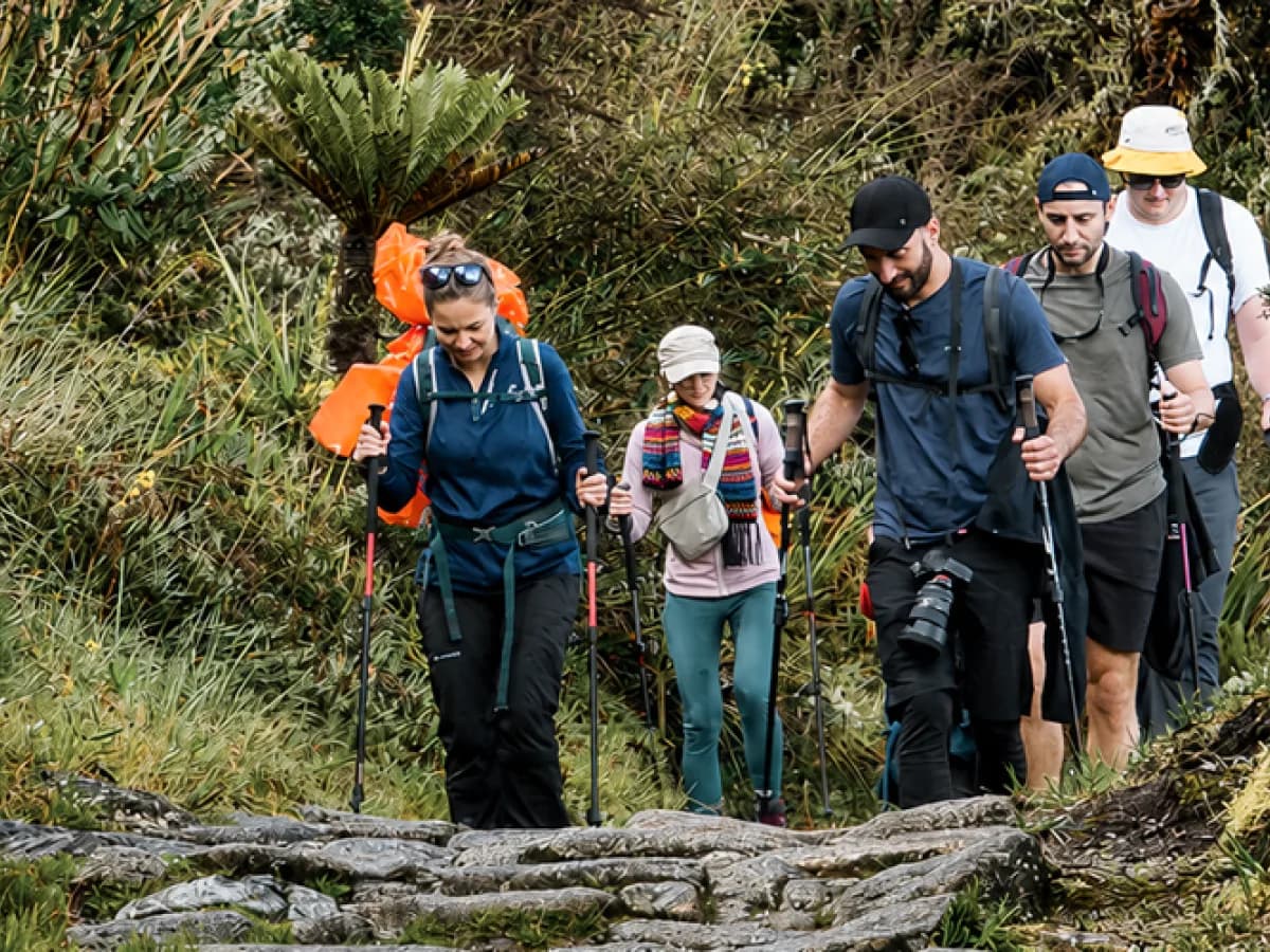 Grupo de viajeros realizando una caminata por un sendero de montaña con bastones de trekking