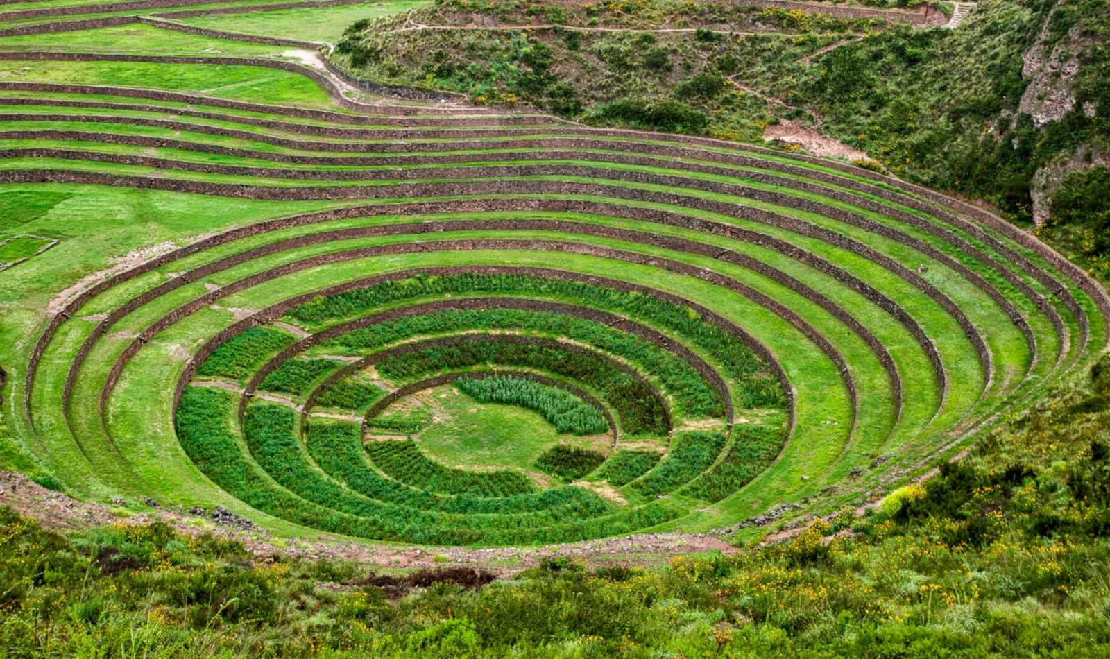 agricultura en morayturtur