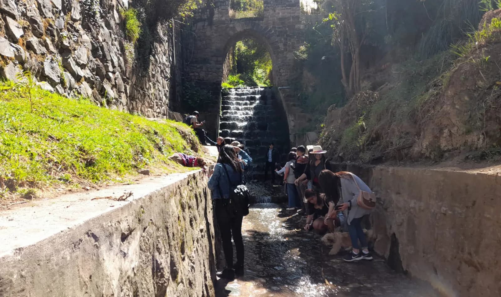 calle de siete borreguitos
