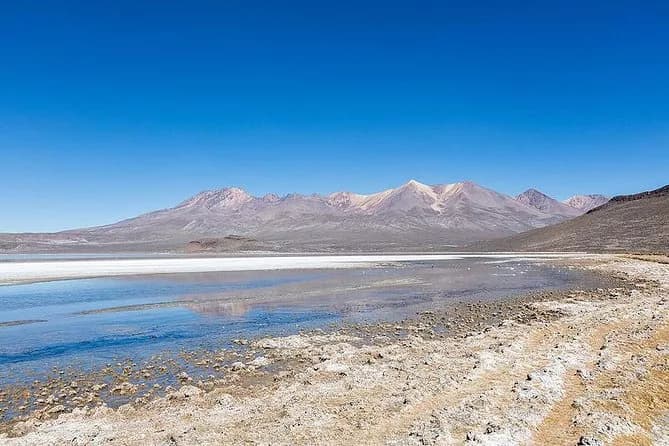 FULL DAY LAGUNA DE SALINAS + RUTA DEL SILLAR – TOURS AREQUIPA