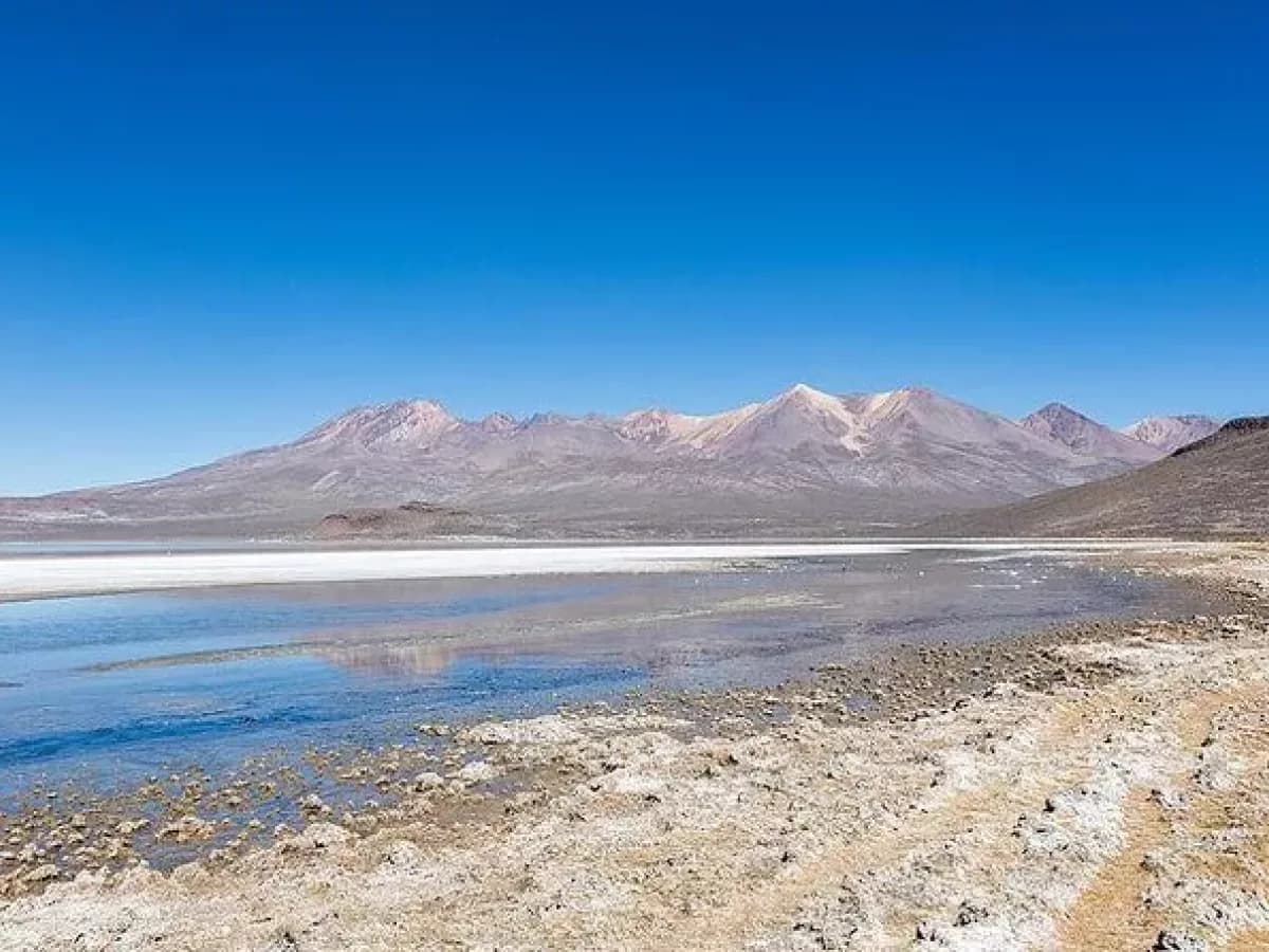 Tour Ruta del Sillar Arequipa + Reserva Salinas
