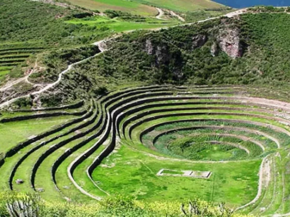 maras-y-moray