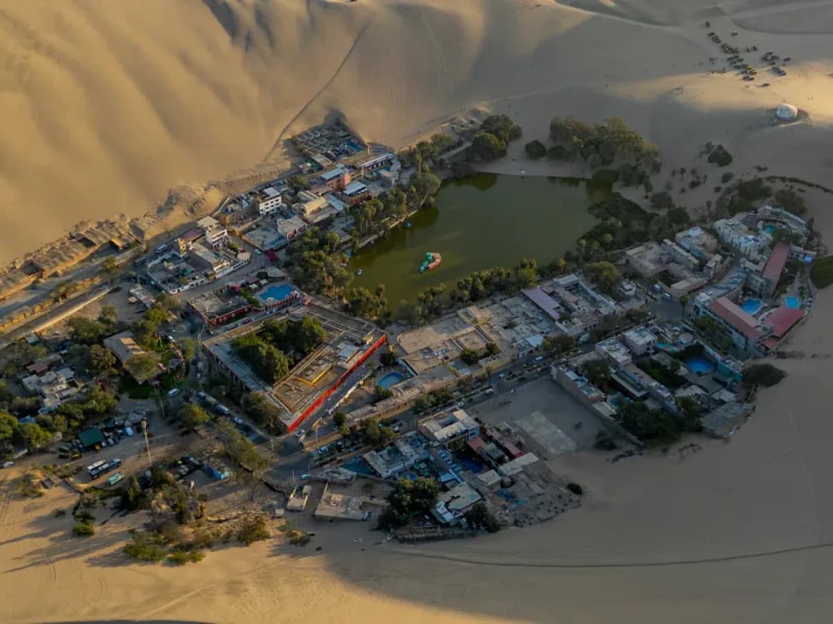 Tour Paracas + Huacachina con Picnic al Atardecer